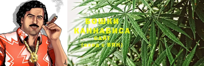 Бошки марихуана Ganja  наркотики  Дятьково 